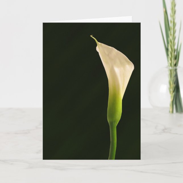 Calla lily card (Front)