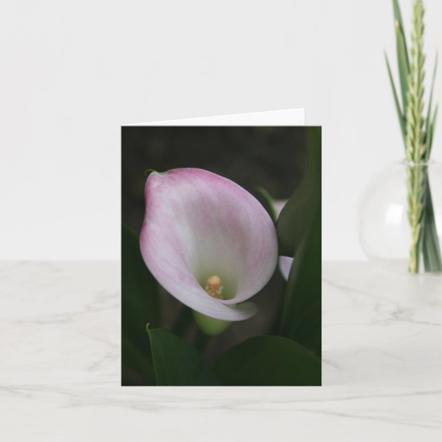 Calla Lily Card (Front)