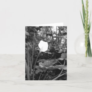 Calla Lily carte pour notes