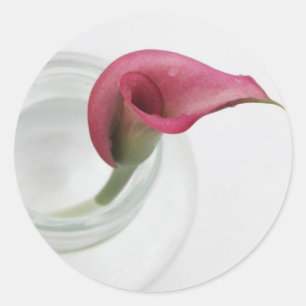 Calla Lily Classic Round Sticker