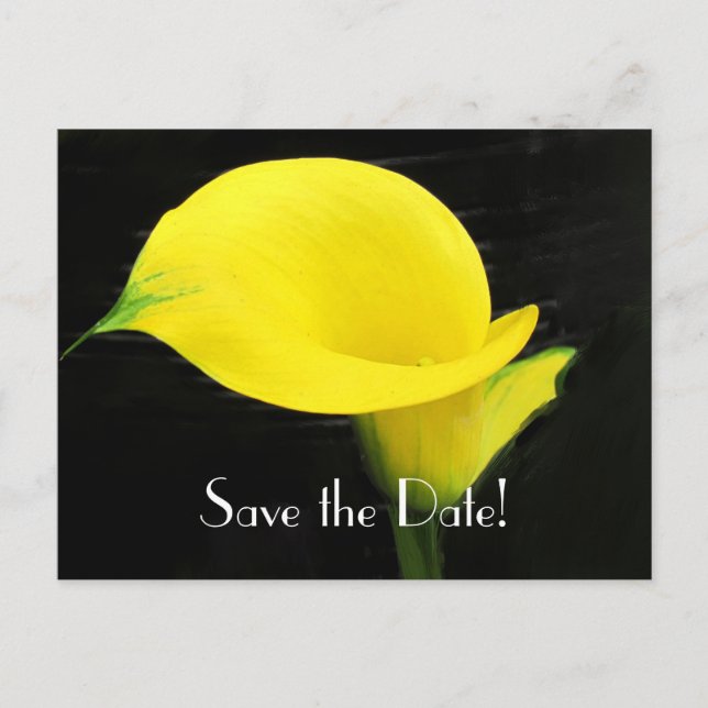 Calla Lily Enregistrer la carte postale Date (Devant)