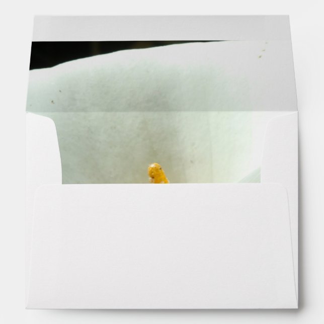 Calla Lily Envelope (Back (Bottom))