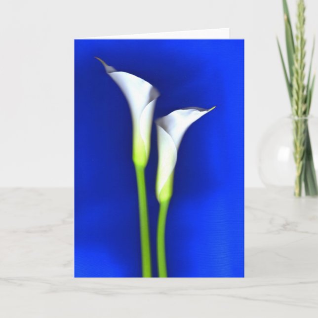 Calla Lily Greeting Card (Front)