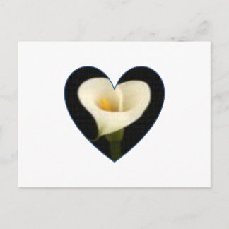 Calla Lily Heart Postcard
