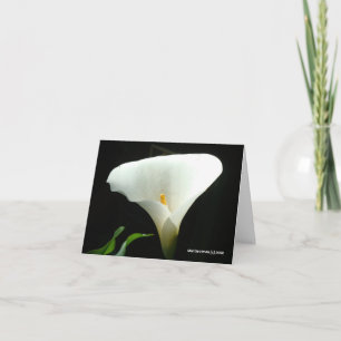 Calla Lily in Black Card