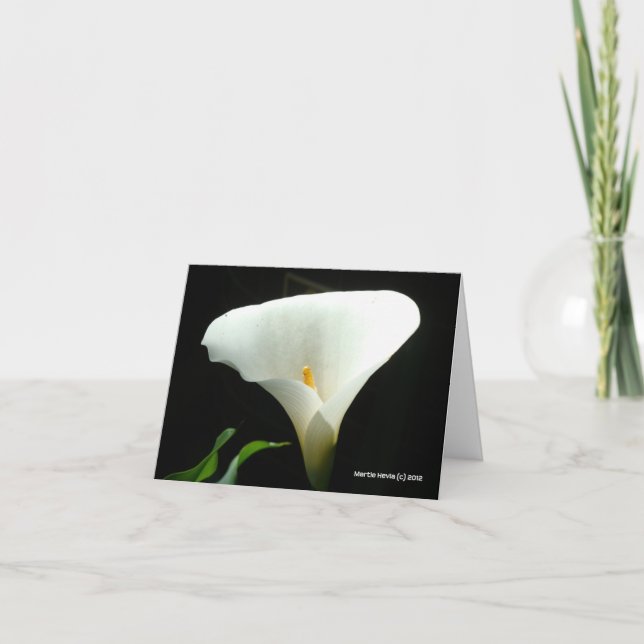 Calla Lily in Black Card (Front)