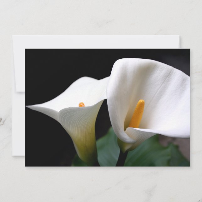 Calla Lily Invitation (Front)