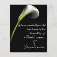 calla lily