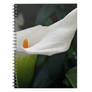 Calla Lily.JPG Notebook