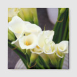 calla lily magnet<br><div class="desc">white flowers of calla lilies in bloom to personalize</div>