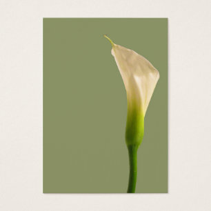 Calla lily Sage Green Card