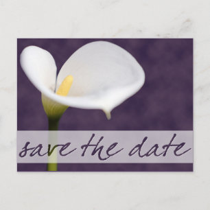 Calla Lily Save the Date Postcard