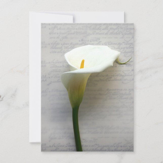 calla lily sur l'ancienne invitation à l'écriture  (Devant)