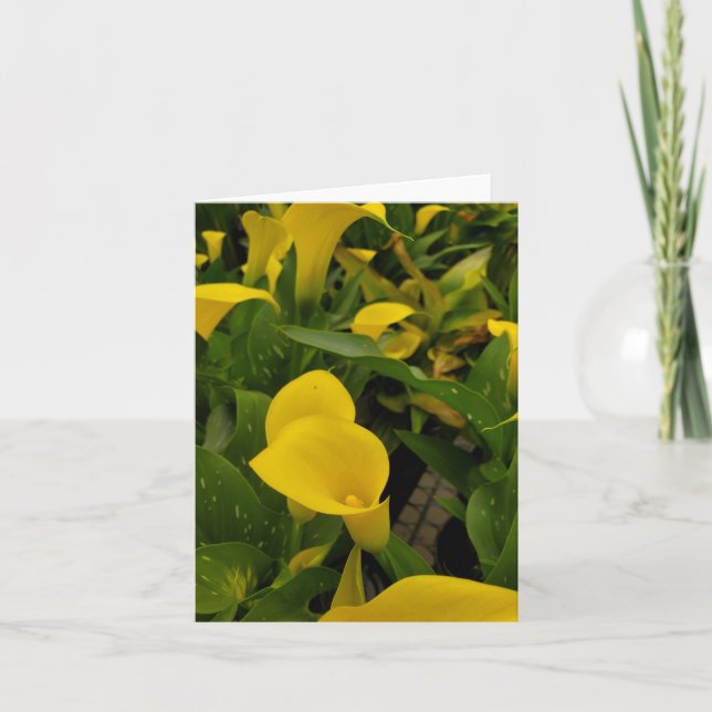 Calla lily thank you card (Front)