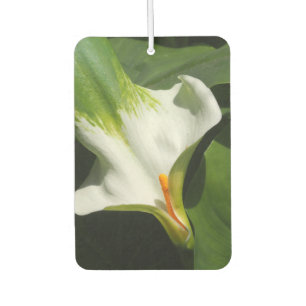 Calla Lily, Zantedeschia Air Freshener