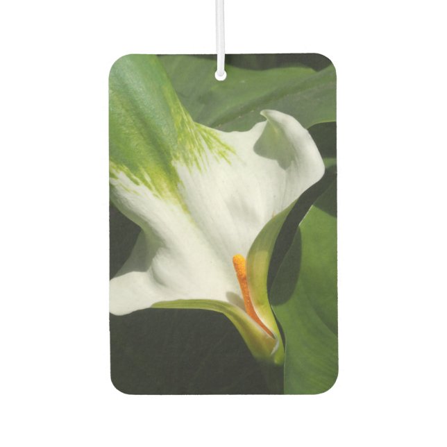 Calla Lily, Zantedeschia Air Freshener (Front)