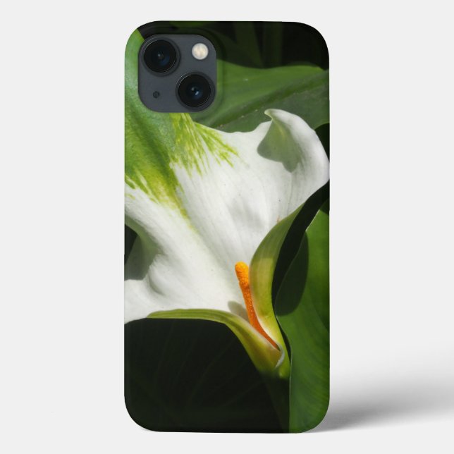 Calla Lily, Zantedeschia Case-Mate iPhone Case (Back)