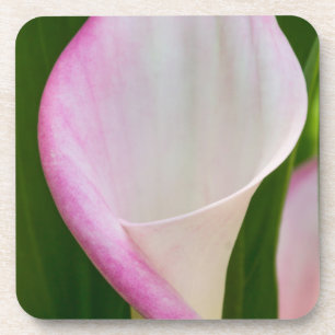Calla Pano Coaster
