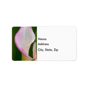 Calla Pano Label