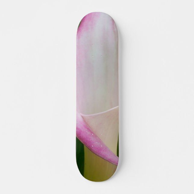 Calla Pano Skateboard (Front)