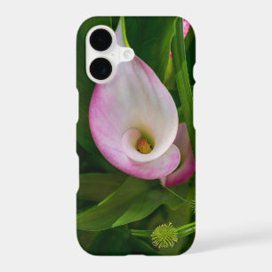 Calla Roll