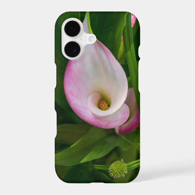 Calla Roll (Back)