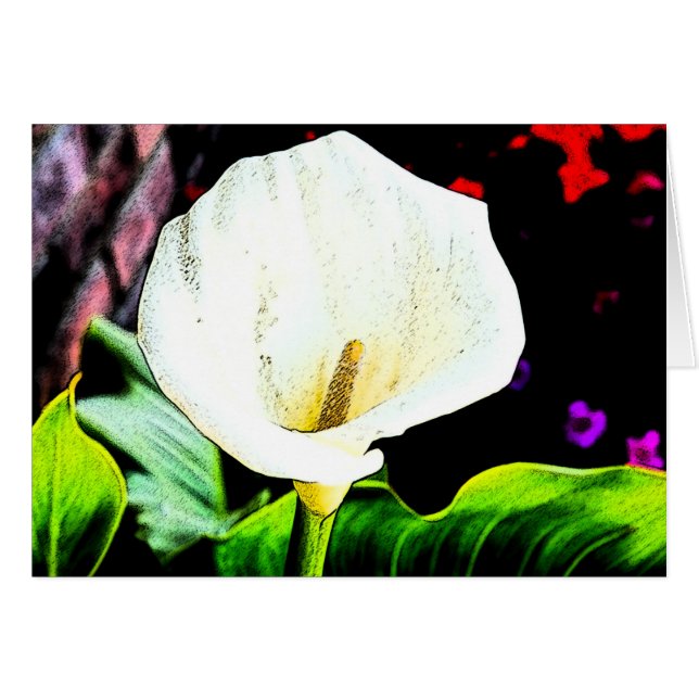 Calla Sideways (Front Horizontal)