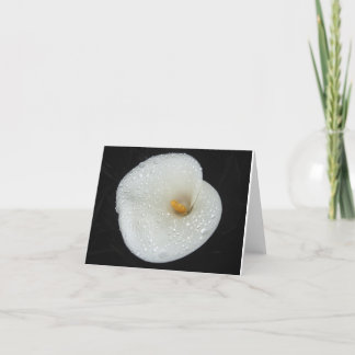 CallaLily après un carte pour notes de douche de