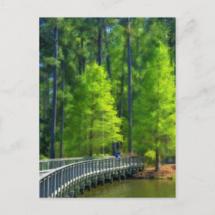 Callaway Landscape Postcard