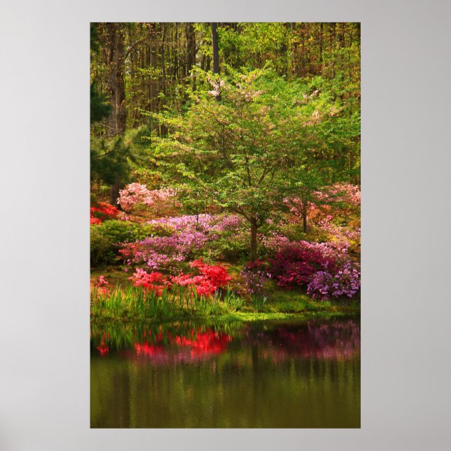 Callaway Landscape Poster (Front)