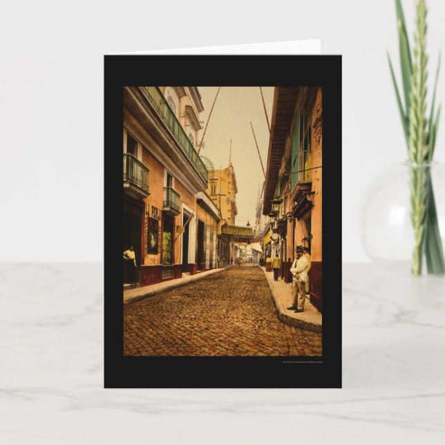 Calle de Habana in Havana, Cuba 1900 Card (Front)