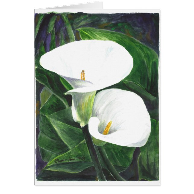 Calle Lilies (Front)