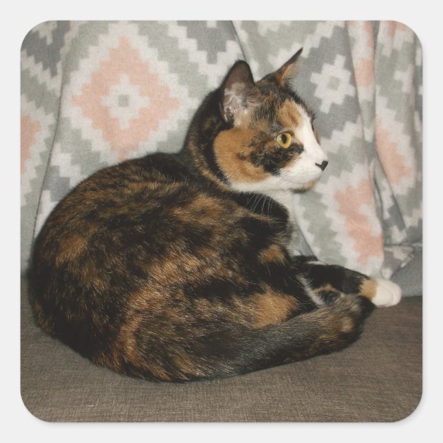 Callie Cat on Sofa Square Sticker (Front)