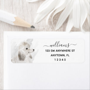 Calligraphie Chien de caniche blanc Adresse de ret