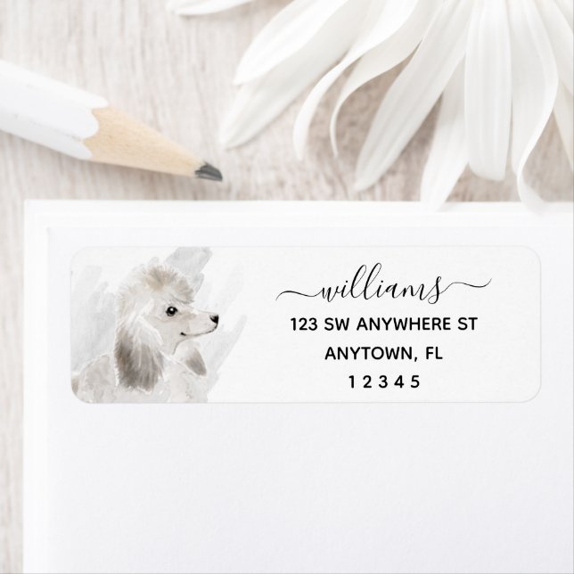 Calligraphie Chien de caniche blanc Adresse de ret (En situation)