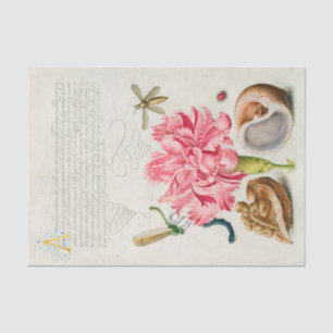 Calligraphy (Carnation, Insects & Marine Mollusk) Tissue Paper