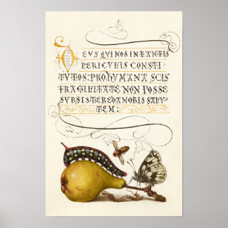 Calligraphy gilded initial vintage pear bug poster