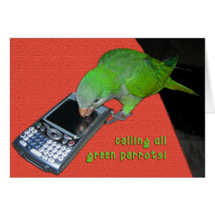 Calling All Green Parrot