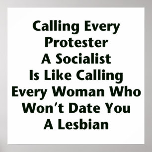 Calling Every Protester  A Socialist  Is Like... Poster