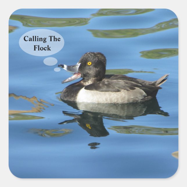 Calling the Flock Humourous Duck Announcement Seal (Front)