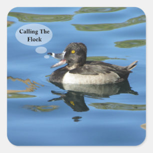 Calling the Flock Humourous Duck Announcement Seal