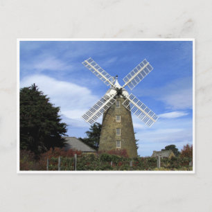 callington mill tassie postcard