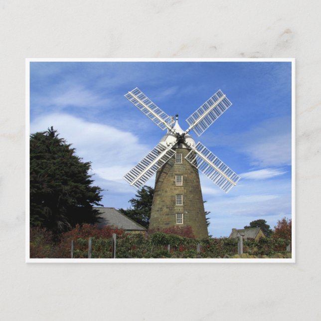 callington mill tassie postcard (Front)