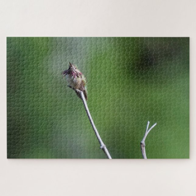 Calliope Hummingbird Jigsaw Puzzle (Horizontal)