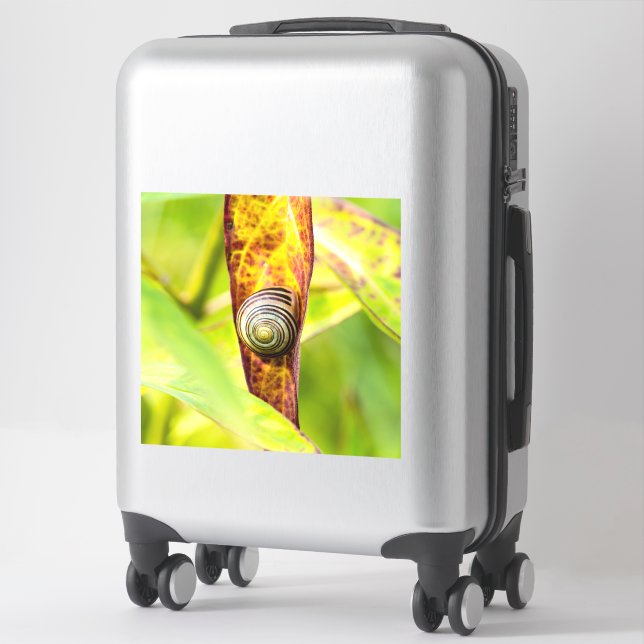 calm attachment (Suitcase)