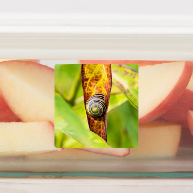 calm attachment (Affixed)