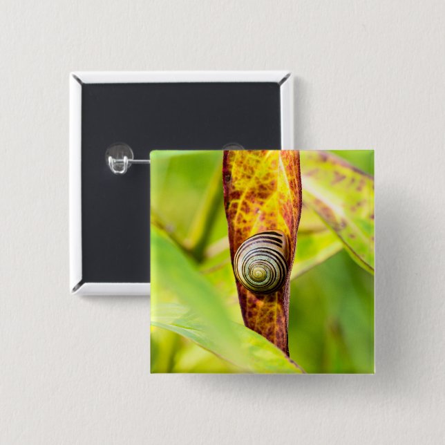 calm attachment 2 inch square button (Front & Back)