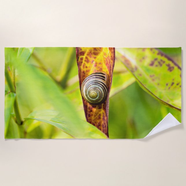 calm attachment beach towel (Front)