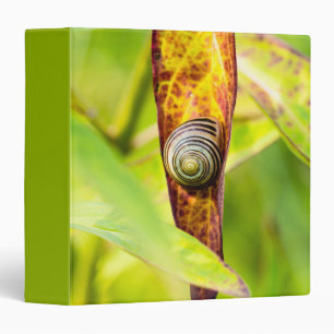 calm attachment binder