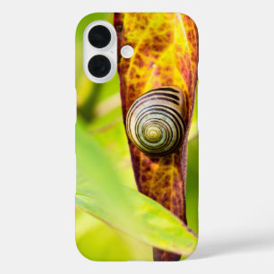 calm attachment iPhone 16 case